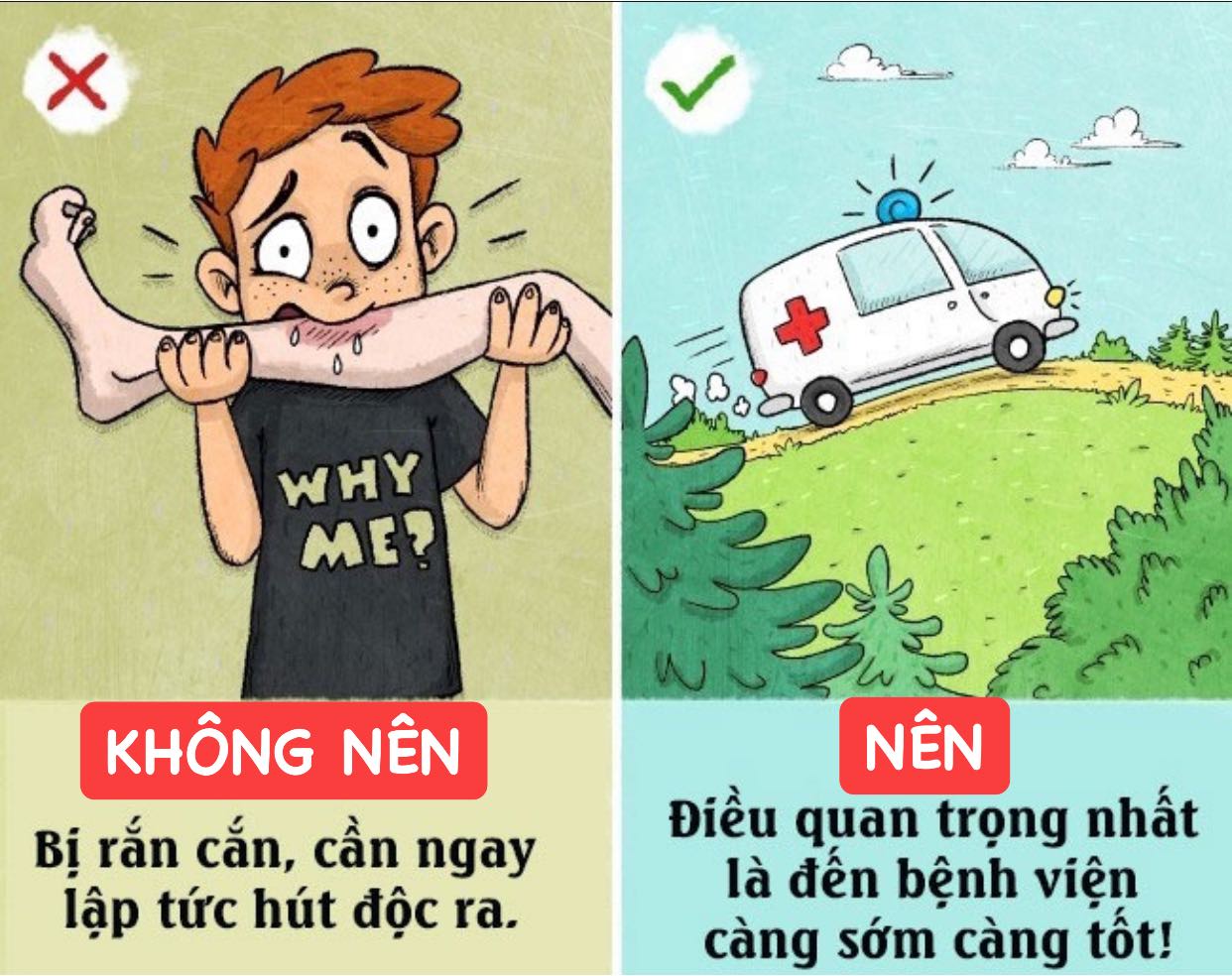 CẢNH BÁO RẮN CẮN MÙA NƯỚC LŨ
